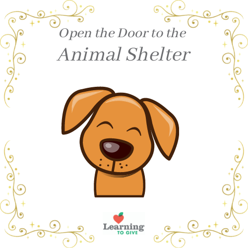 Open the Door to the Animal Shelter | Learning to Give