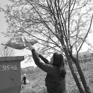 Community Clean-Up (6-8) | Learning to Give